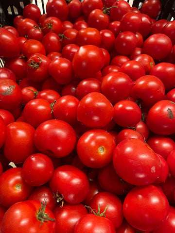 Three Forks Seeds - Tomato