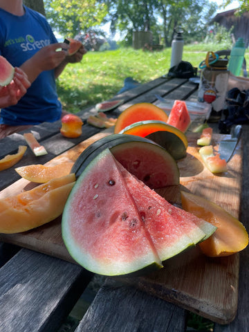 Three Forks Seeds - Melons