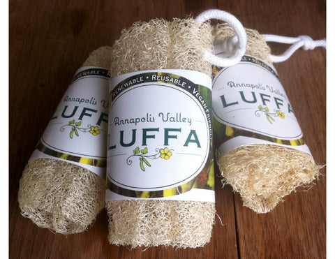 Luffa