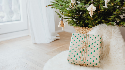 Gift Smart, Wrap Green: Eco-Friendly Ways to Celebrate the Season