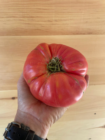 Three Forks Seeds - Tomato