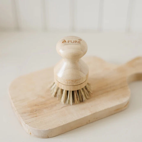 Pure Dish Brushes