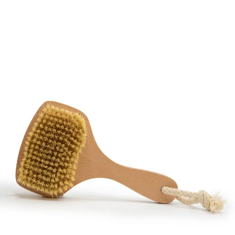 Dry Body Brush