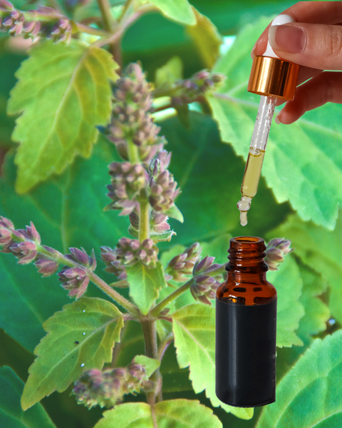 Patchouli Essential Oil (Light)