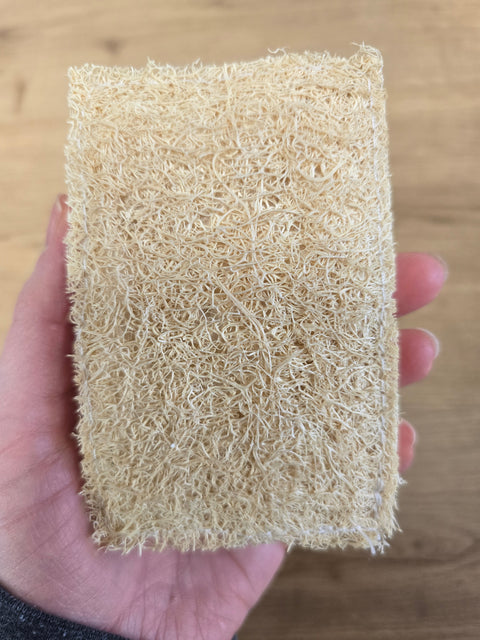 The Bare Home Cellulose + Loofah Sponges